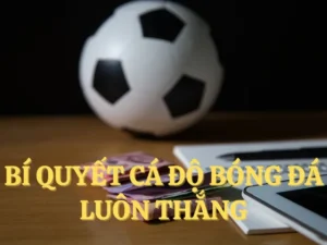 Tham Gia Cá Cược Bóng Đá W88 Thắng Lớn Ngay Hôm Nay