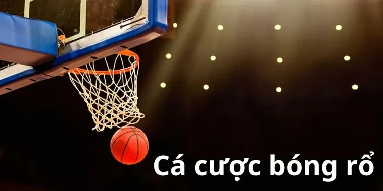 Khám Phá Cá Cược Bóng Rổ W88 Để Thắng Lớn Mỗi Ngày